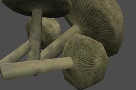 fnv_fungus