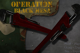 Operation Black Mesa