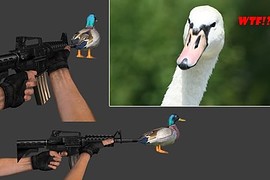 Mallard_M4
