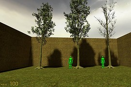 Gumtrees