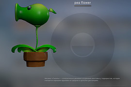 pea flower