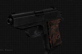 walther ppk