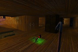 dm_biohazard_ffw