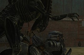 AVP Pack
