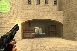 Caboose's Woodland Camo Deagle
