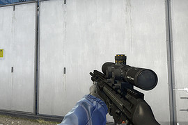 PSG-1 A2