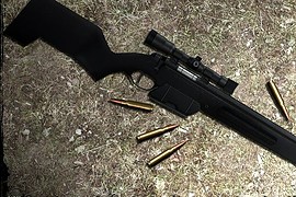 steyr scout .308