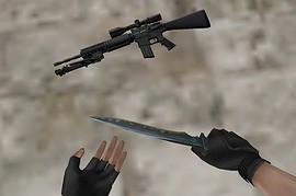 AR-10