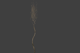 l10_swamp_kamysh_tree2