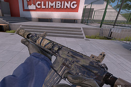M4SX