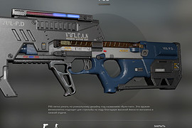 P90 police