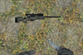 Desert AW Super Magnum + 2 Set Animations