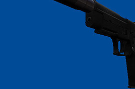 Sig Sauer P226 Black & White