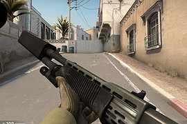 Spas-12