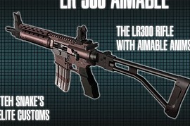 LR-300 Aimable
