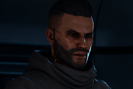 Fury Face Manly (Preset)