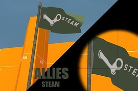 EA_and_Steam_flags