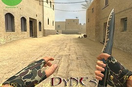 DyNEs_Camo2_Gloves