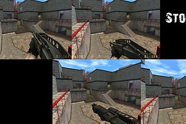 3 SPAS-12 variations