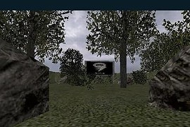 dod_aim2
