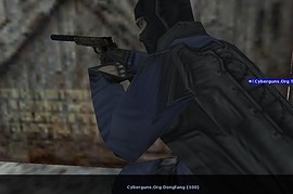 Kimber for USP