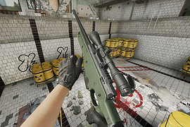 Blackops:Cold War AWM