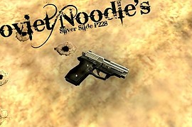 Silver P228 Slide