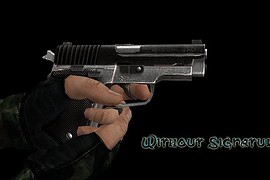 Joshbjoshingu's P228