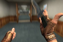 A_Fall_Camo_Glove_Skin