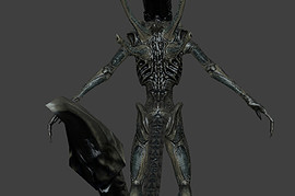 Xeno Soldier