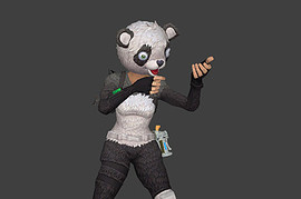P.A.N.D.A Team Leader