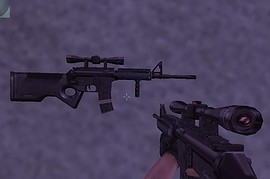 Custom Rifle