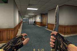 Indonesian_Woodland_Gloves