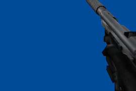 AWR Arctic Warfare Ruger Reskin