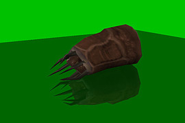 HD Barnacle OF