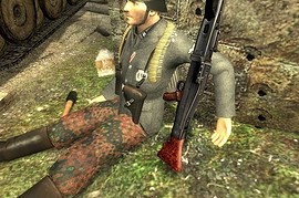 Real_Waffen_SS_Skin