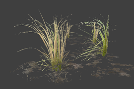 l10swamp_plant_group4