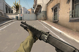 Spas-12 standard