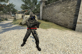 Vector