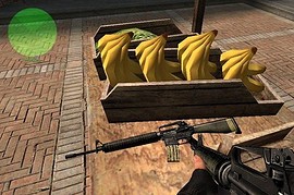 Hopsefloh M16A2
