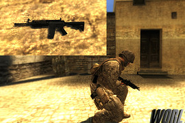 Lama_s_M4_SIRS_Book_s_Anims
