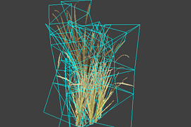 reed_7