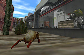 Black Mesa Sideline