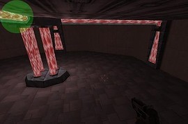 aim_internecine