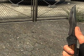 Teh_Snake_s_Veteran