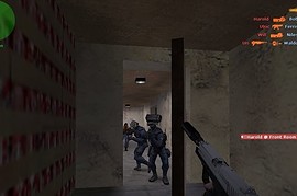 Tactical Usp