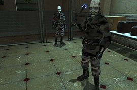 Combine Elite Police Skin