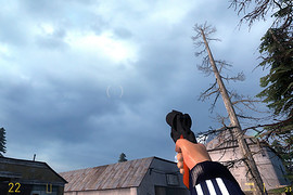 Flare Gun W/ .357 Adapter