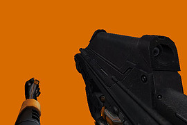 FN 2000
