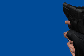 Sig Sauer P226 Black & White